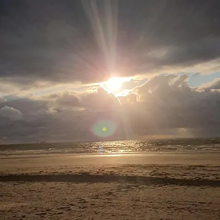 Cozy Garden House Kijkduin