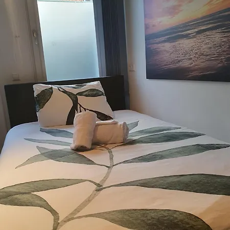 Cozy Garden House Kijkduin 3* Χάγη