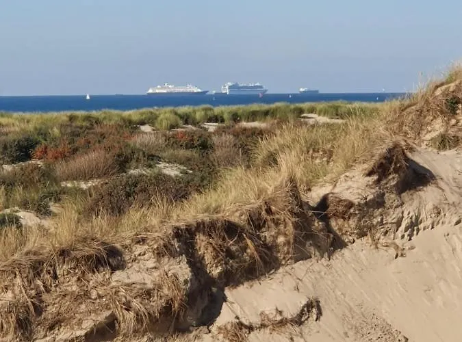 Гостевой дом Cozy Garden House Kijkduin 3*