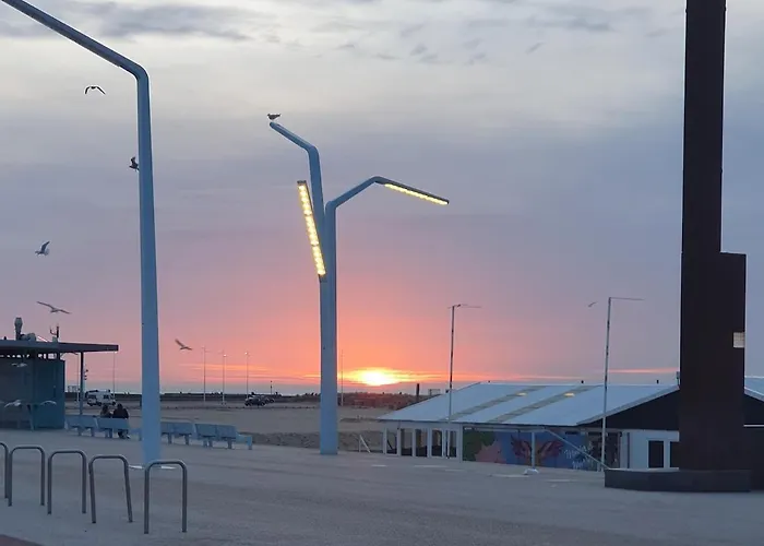 Cozy Garden House Kijkduin