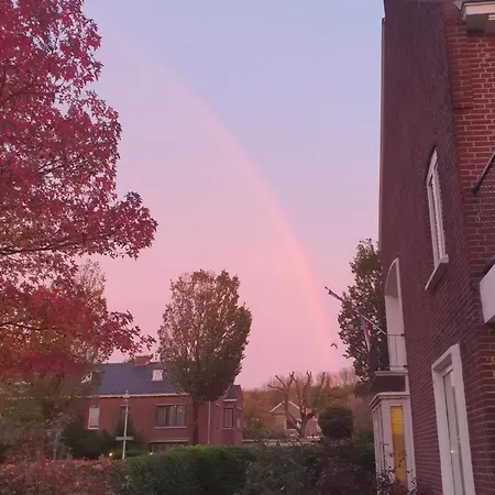 Bed & Breakfast Cozy Garden House Kijkduin The Hague