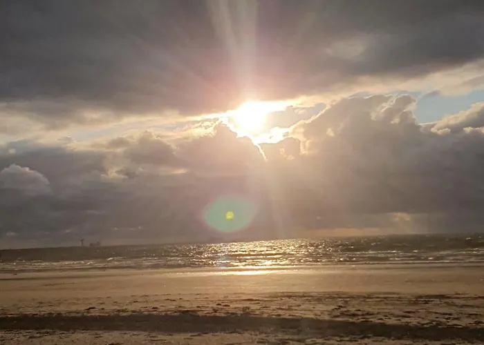 Cozy Garden House Kijkduin