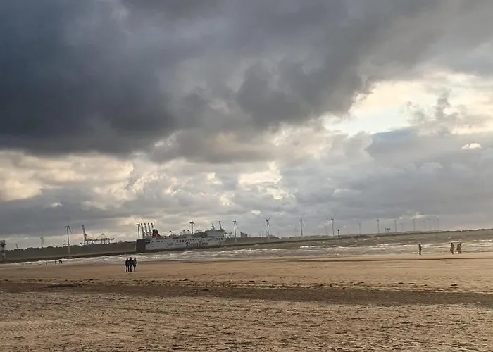 Cozy Garden House Kijkduin Gasthuis Den Haag