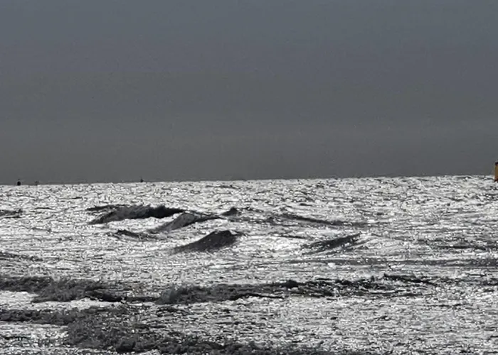 Cozy Garden House Kijkduin