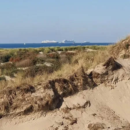 게스트하우스 Cozy Garden House Kijkduin 3*