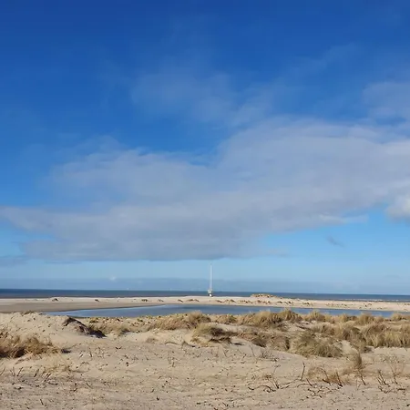 Cozy Garden House Kijkduin 게스트하우스 헤이그