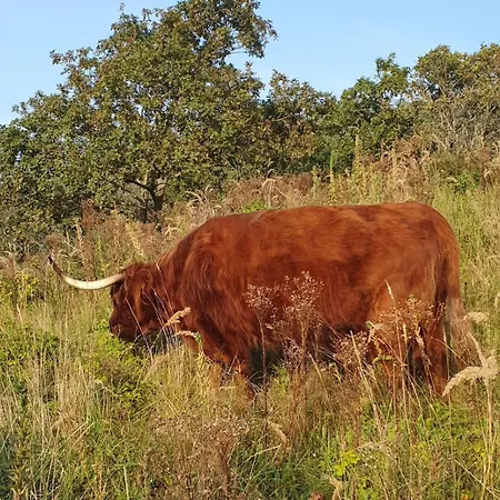 게스트하우스 Cozy Garden House Kijkduin 3*