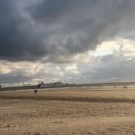 Cozy Garden House Kijkduin 게스트하우스 헤이그