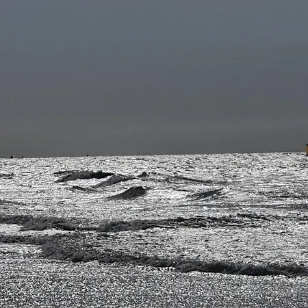 Cozy Garden House Kijkduin