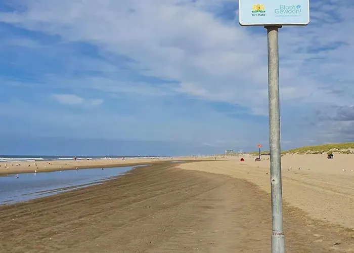 Cozy Garden House Kijkduin 3* 海牙